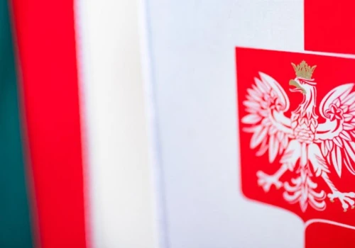 Alarm na Litwie. Dron miał nadlecieć z Polski. Wilno chce wspólnego śledztwa
