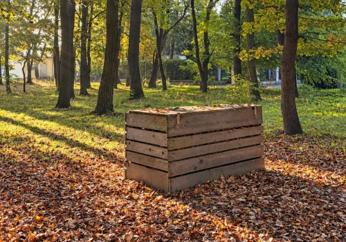 Drewniane konstrukcje w krakowskich parkach. To tutaj liście dostają drugie życie