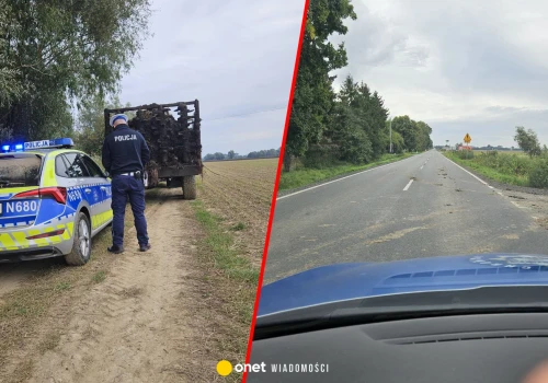 Wykopki buraków pod lupą policji. Mandaty dla rolników za zabrudzenie dróg