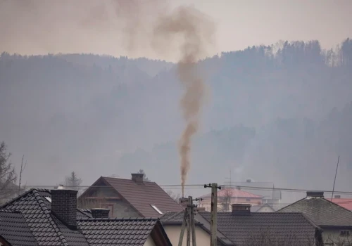 Palisz drewnem w kominku? Ekspert wyjaśnia, czy szkodzisz środowisku