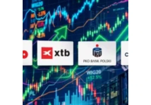 Akcje XTB, Dino, PKO BP, Creotech Instruments – kto zyska, a kto straci? Prognozy, analiza i kluczowe poziomy gigantów GPW