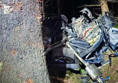 BMW uderzyło w drzewo, zginęły dwie osoby. Tragedia na popularnej trasie