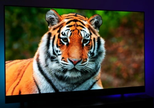 Pamiętasz plazmy Panasonica? Marka ma ambitny plan na 2027 rok