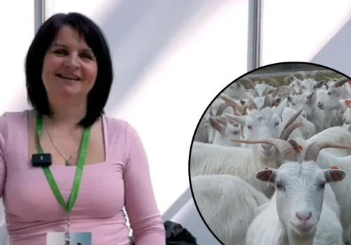 Ma 5 hektarów. Nie narzeka, że mało. Pani Agata wykorzystuje niszę
