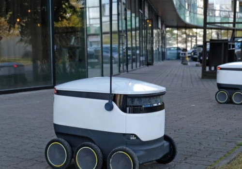 Robot też człowiek? Aresztowanie tej kobiety skłania do refleksji