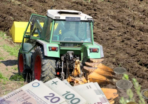 Za hektar dzierżawy nawet 2400 zł. GUS podał nowe stawki. Gdzie rolnicy płacą najwięcej?