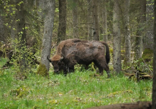 Ogólnopolska kampania „Parki Narodowe. Inwestujemy w naturę”