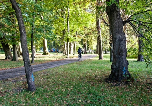 Tu wycinki nie będzie