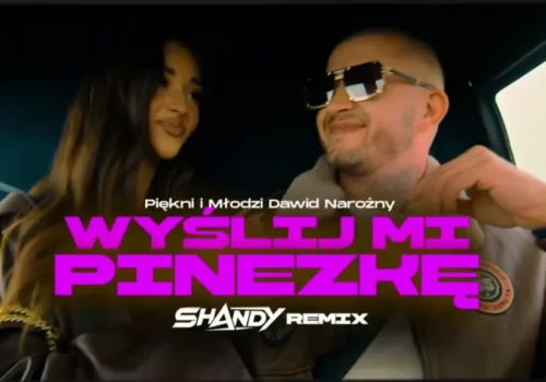 Dawid Narożny – Wyślij mi pinezkę (SHANDY Remix)