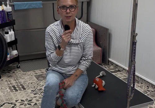 Jak przygotować psa do pielęgnacji bez stresu? Magda Dyk podpowie podczas Wystawy Psów w EXPO KIELCE