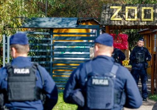 Nowe fakty ws. zoo Łączna. Co ustalili biegli?