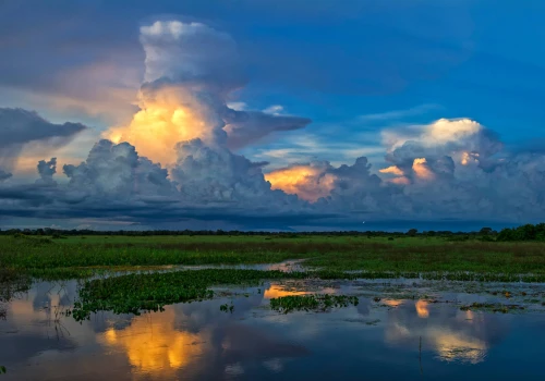 Wielkie mokradła Pantanal – Brazylia to nie tylko Amazonia