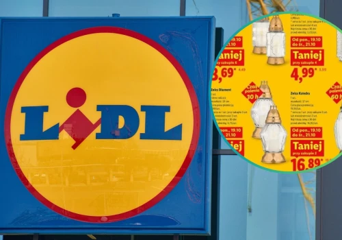 Nowe promocje w Lidlu na Wszystkich Świętych. Znicze już od 3,29 zł, promocje 3+1, a chryzantemy dosłownie za grosze