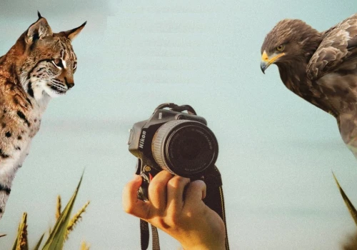 Masz oko do fotografii? Pokaż piękno Sądecczyzny i Karpat! Na młodych czekają nagrody