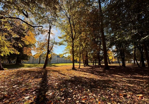 79 drzew do usunięcia, tysiące roślin do posadzenia. Tak odmienią park w Radzyniu