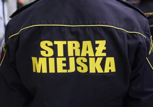 Logika ZDM. Za odstający na 2 cm szyld 40 tys. zł kary, za to nieformalny komis na publicznym terenie to nie problem. Straż Miejska bezradna