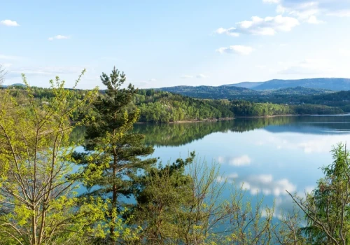Kolejne jezioro w Polsce coraz mniejsze. Zasila wodą 65 proc. Krakowa