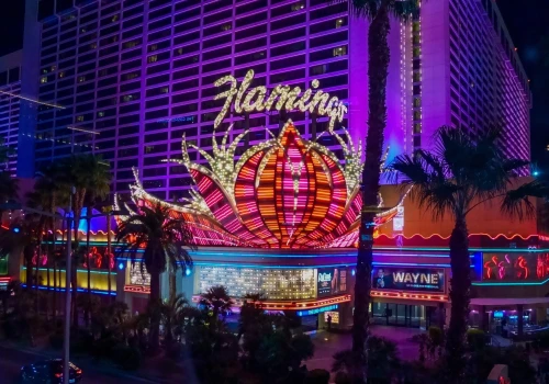 Turysta zabrał flaminga do pokoju w Las Vegas. Przed sądem mówił o 