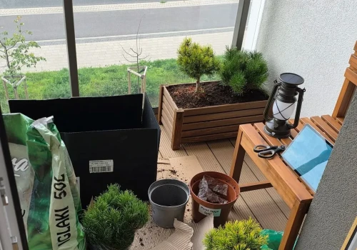 Oddałem balkon w ręce AI. W miesiąc zrobiła ze mnie ogrodnika od zera