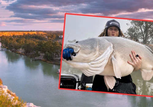 Co za połów! Złowił rybę o długości ponad 135 cm. Pobił rekord Australii