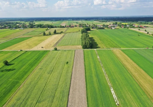 Podatek rolny w 2027 roku będzie niższy! GUS podał nowe stawki
