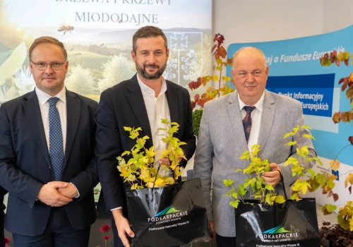 Nowe drzewa i krzewy miododajne w Trzcianie. Gmina Świlcza stawia na bioróżnorodność