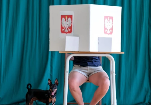 Najnowszy sondaż poparcia. KO pierwsze, PiS słabsze od dwóch Konfederacji