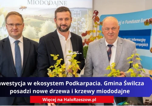 Inwestycja w ekosystem Podkarpacia. Gmina Świlcza posadzi nowe drzewa i krzewy miododajne
