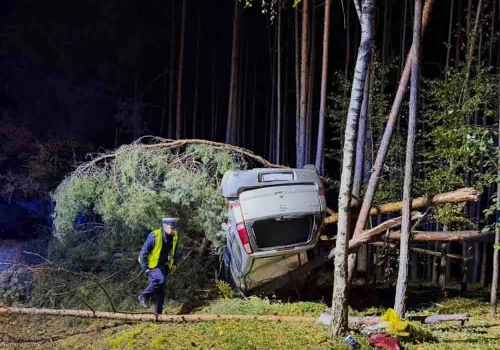 Wypadek w Czajkowie. Opel dachował i zawisł na drzewach, kierowca miał zakaz prowadzenia