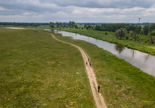 Susza daje się we znaki Warcie. Coraz mniej wody i dużych ryb w okolicach Sieradza