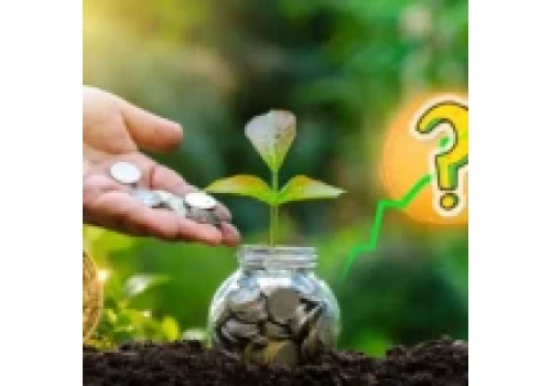 Ta kryptowaluta jest „pewniakiem”. Nawet 300% wzrostu do końca roku?
