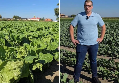Zaczynał od 1,5 ha, dziś ma 70 ha warzyw. „Wystarczą dwa dni i zaczyna się problem”