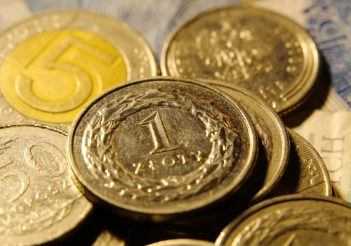 Młodzi Polacy najmniej pewni swoich finansów w Europie Środkowo-Wschodniej