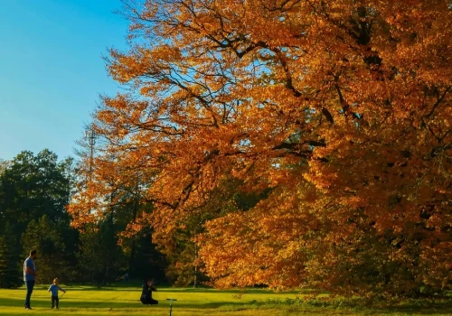 Park w Świerklańcu na jesienny spacer: co zostało po „Małym Wersalu” Donnersmarcków