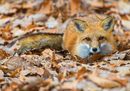 Pogoda na środę | Chwilowy powiew wysokiej temperatury