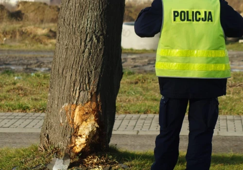 Jest decyzja w sprawie sędziego, podejrzanego o wjechanie po pijanemu autem w drzewo. Uchylono mu immunitet