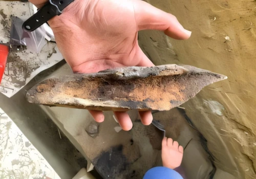 Prehistoryczny obóz z Alaski ujawnił związki dawnych łowców z Syberią