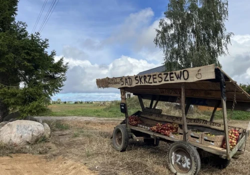 Drewniany wóz, owoce i skarbonka. W Skrzeszewie sprzedaż oparta jest na zaufaniu