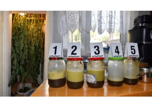 Pilanin miał plantację konopi i 3,5 kg masła z THC!