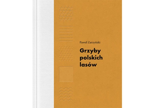 Grzyby polskich lasów