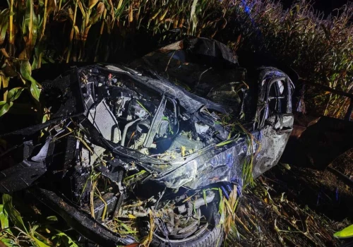 Tragiczny wypadek. BMW zderzyło się z łosiem i dachowało. Nie żyje 24-latek
