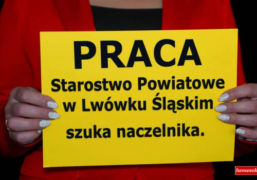 Starostwo Powiatowe w Lwówku Śląskim szuka naczelnika. Ile można zarobić?