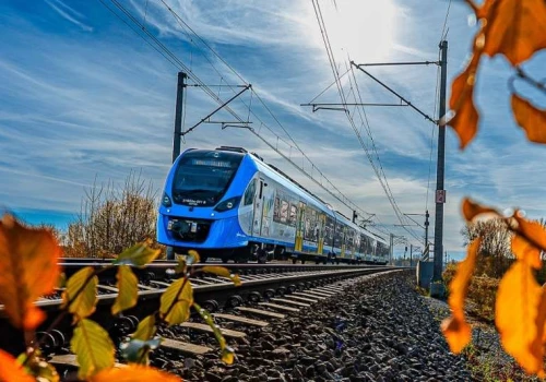Koleje Śląskie: Pasażerowie dybią na rydza