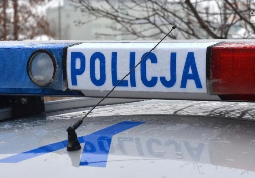 Skoordynowana akcja służb zapobiegła tragedii