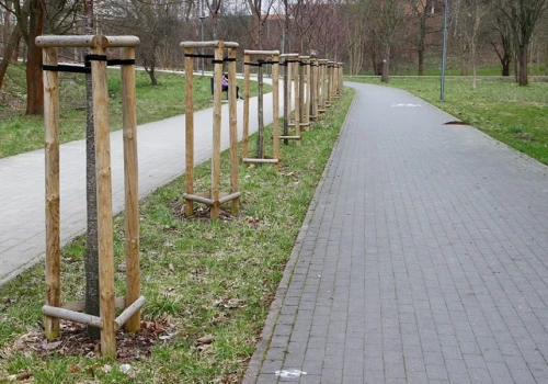 Te miejsca w Olsztynie zmienią swój wygląd. Miasto ujawniło szczegóły