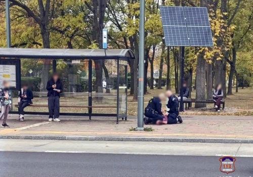 Pogryzł kobietę podczas napadu w Tychach. Prokuratura chce aresztu dla 26-latka