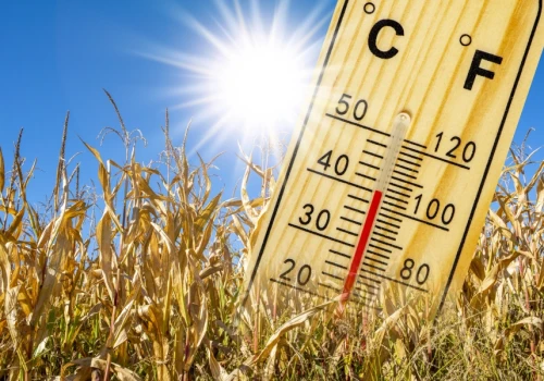 ONZ ostrzega. Do końca stulecia temperatura Ziemi wzrośnie o 2,6 C