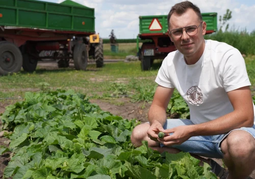 Młody rolnik rozwija gospodarstwo rodziców. Jego pomysł przyniósł dodatkowe zyski