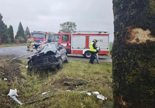 Uderzył samochodem w drzewo. 40-latek trafił do szpitala