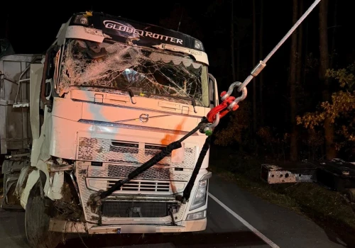 Ciężarówka wypadła z drogi, uderzyła w drzewo. Kierowca miał sporo szczęścia